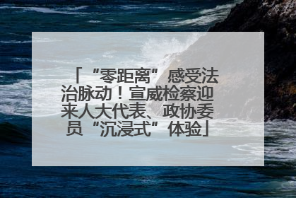 “零距离”感受法治脉动！宣威检察迎来人大代表、政协委员“沉浸式”体验