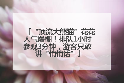 “顶流大熊猫”花花人气爆棚！排队1小时参观3分钟，游客只敢讲“悄悄话”