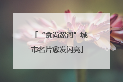 “食尚漯河”城市名片愈发闪亮