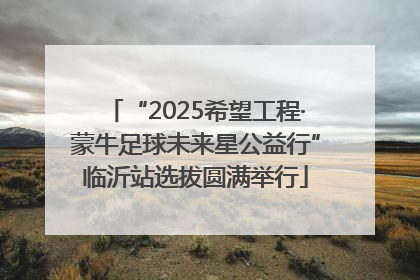 “2025希望工程·蒙牛足球未来星公益行”临沂站选拔圆满举行