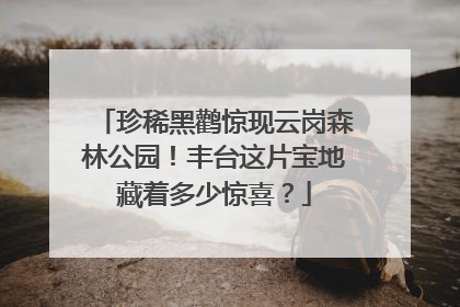 珍稀黑鹳惊现云岗森林公园！丰台这片宝地藏着多少惊喜？
