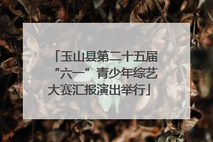 玉山县第二十五届“六一”青少年综艺大赛汇报演出举行