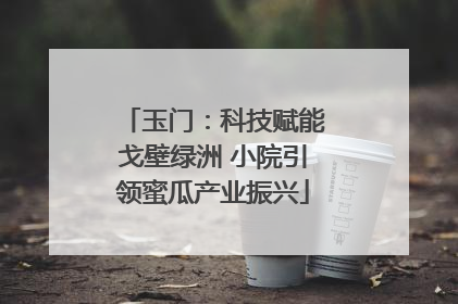 玉门：科技赋能戈壁绿洲 小院引领蜜瓜产业振兴