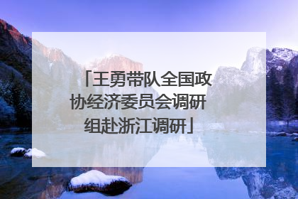 王勇带队全国政协经济委员会调研组赴浙江调研