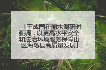 王成国在丽水调研时强调：以更高水平安全和法治环境服务保障山区海岛县高质量发展