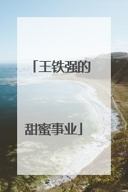 王铁强的甜蜜事业