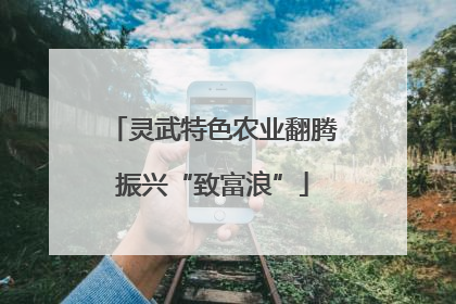 灵武特色农业翻腾振兴“致富浪”