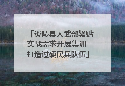 炎陵县人武部紧贴实战需求开展集训 打造过硬民兵队伍
