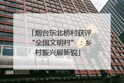 烟台东北桥村获评“全国文明村”：乡村振兴展新貌