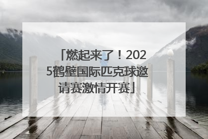 燃起来了！2025鹤壁国际匹克球邀请赛激情开赛