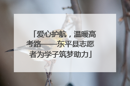 爱心护航，温暖高考路——东平县志愿者为学子筑梦助力