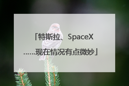 特斯拉、SpaceX……现在情况有点微妙