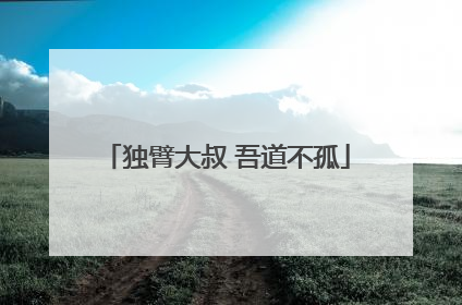 独臂大叔 吾道不孤