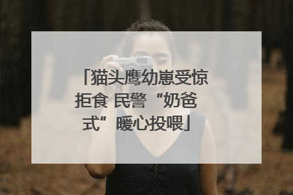 猫头鹰幼崽受惊拒食 民警“奶爸式”暖心投喂
