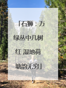 石狮：万绿丛中几树红 湿地荷塘韵无穷