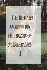 石榴籽聚华夏情 随州职院学子共绘团结卷