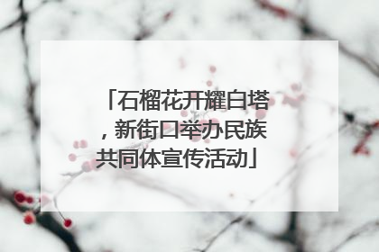 石榴花开耀白塔，新街口举办民族共同体宣传活动