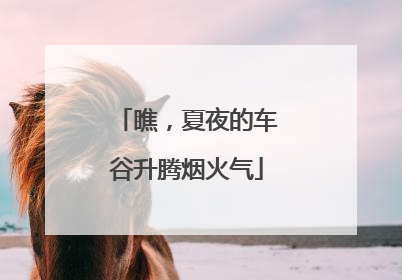 瞧，夏夜的车谷升腾烟火气