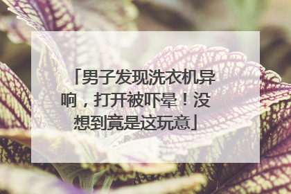 男子发现洗衣机异响，打开被吓晕！没想到竟是这玩意