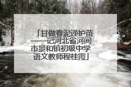 甘做春泥谨护苗——记河北省河间市景和镇初级中学语文教师程桂霞