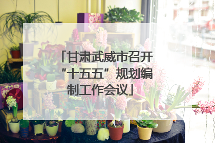 甘肃武威市召开“十五五”规划编制工作会议
