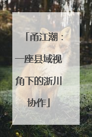 甬江潮：一座县域视角下的浙川协作