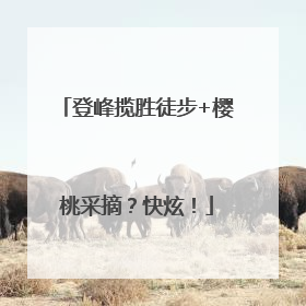登峰揽胜徒步+樱桃采摘？快炫！