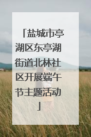盐城市亭湖区东亭湖街道北林社区开展端午节主题活动