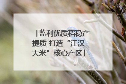 监利优质稻稳产提质 打造“江汉大米”核心产区