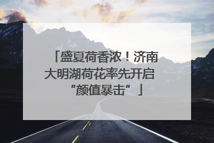 盛夏荷香浓！济南大明湖荷花率先开启“颜值暴击”