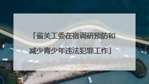省关工委在宿调研预防和减少青少年违法犯罪工作