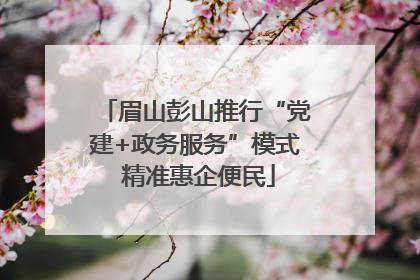 眉山彭山推行“党建+政务服务”模式 精准惠企便民