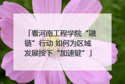 看河南工程学院“融链”行动 如何为区域发展按下“加速键”