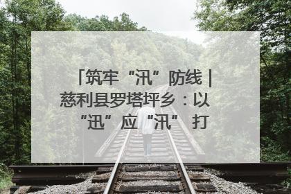 筑牢“汛”防线｜慈利县罗塔坪乡：以“迅”应“汛” 打赢暴雨防御战