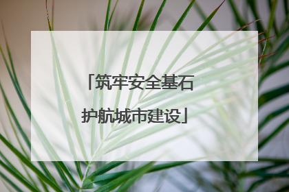 筑牢安全基石 护航城市建设