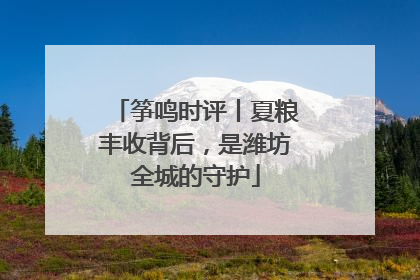 筝鸣时评丨夏粮丰收背后，是潍坊全城的守护