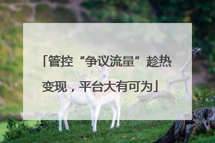 管控“争议流量”趁热变现，平台大有可为