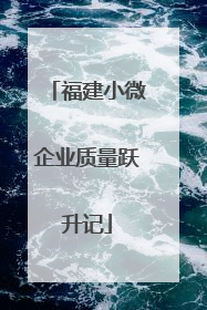 福建小微企业质量跃升记