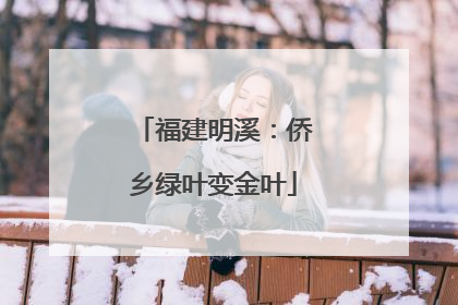 福建明溪：侨乡绿叶变金叶