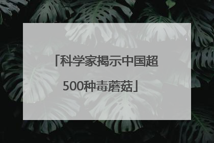 科学家揭示中国超500种毒蘑菇