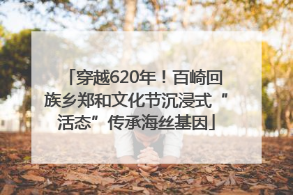 穿越620年！百崎回族乡郑和文化节沉浸式“活态”传承海丝基因