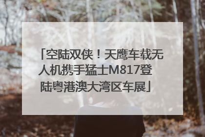 空陆双侠！天鹰车载无人机携手猛士M817登陆粤港澳大湾区车展