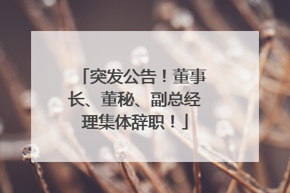 突发公告！董事长、董秘、副总经理集体辞职！