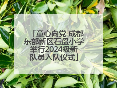 童心向党 成都东部新区石盘小学举行2024级新队员入队仪式