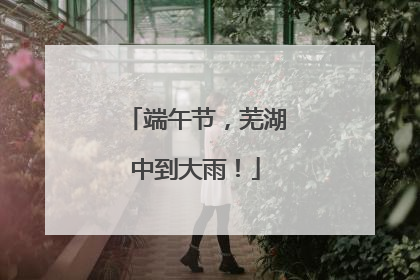 端午节，芜湖中到大雨！