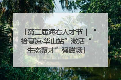 第三届海右人才节｜“拾夏凉·华山站”激活“生态聚才”强磁场