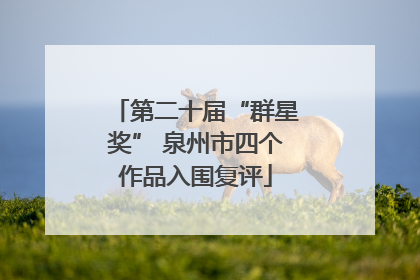 第二十届“群星奖” 泉州市四个作品入围复评
