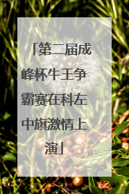 第二届成峰杯牛王争霸赛在科左中旗激情上演