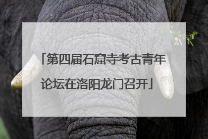 第四届石窟寺考古青年论坛在洛阳龙门召开