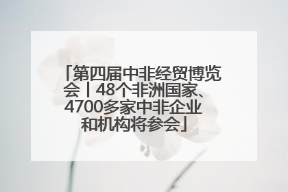 第四届中非经贸博览会丨48个非洲国家、4700多家中非企业和机构将参会